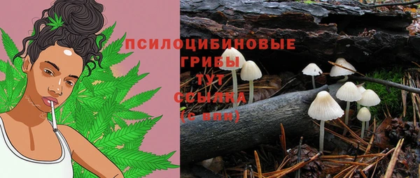 ПСИЛОЦИБИНОВЫЕ ГРИБЫ Надым