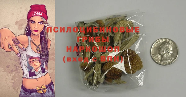 ПСИЛОЦИБИНОВЫЕ ГРИБЫ Надым