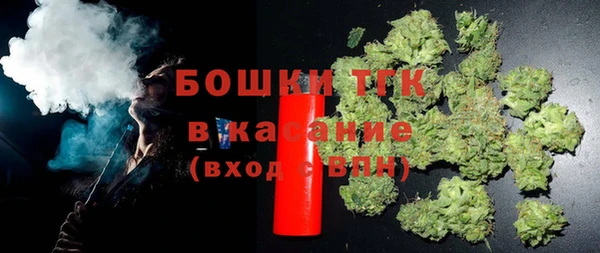 прущие грибы Михайловск
