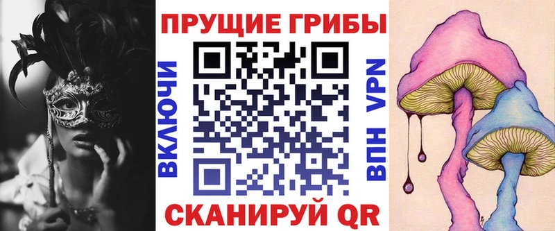 Галлюциногенные грибы Psilocybe  Михайлов 